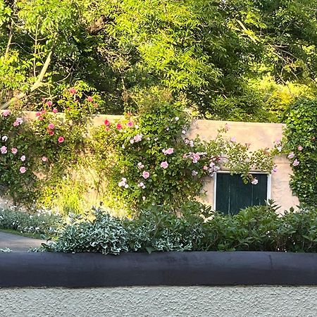 Old Mill House Bed and Breakfast Larne Εξωτερικό φωτογραφία