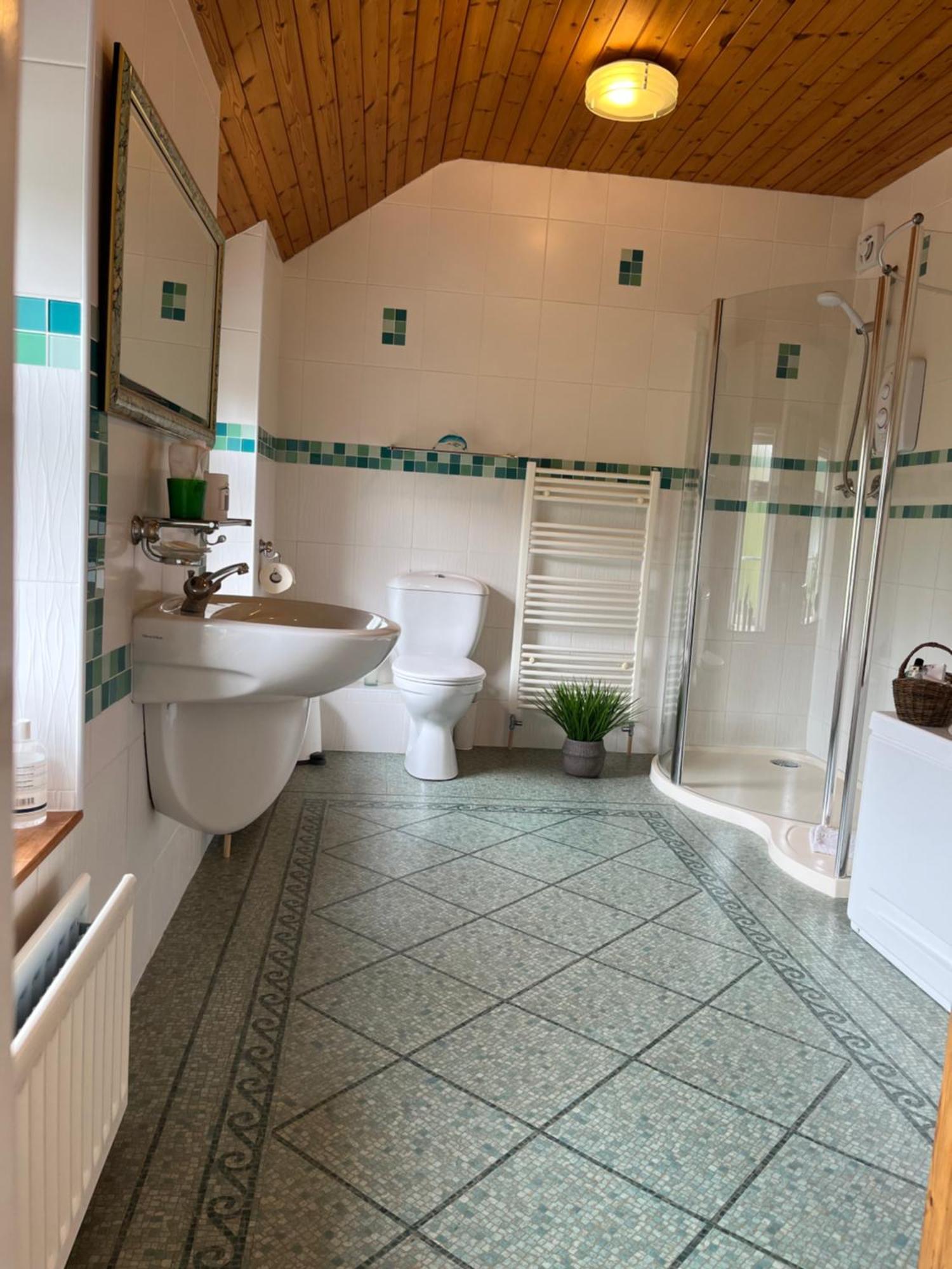 Old Mill House Bed and Breakfast Larne Εξωτερικό φωτογραφία