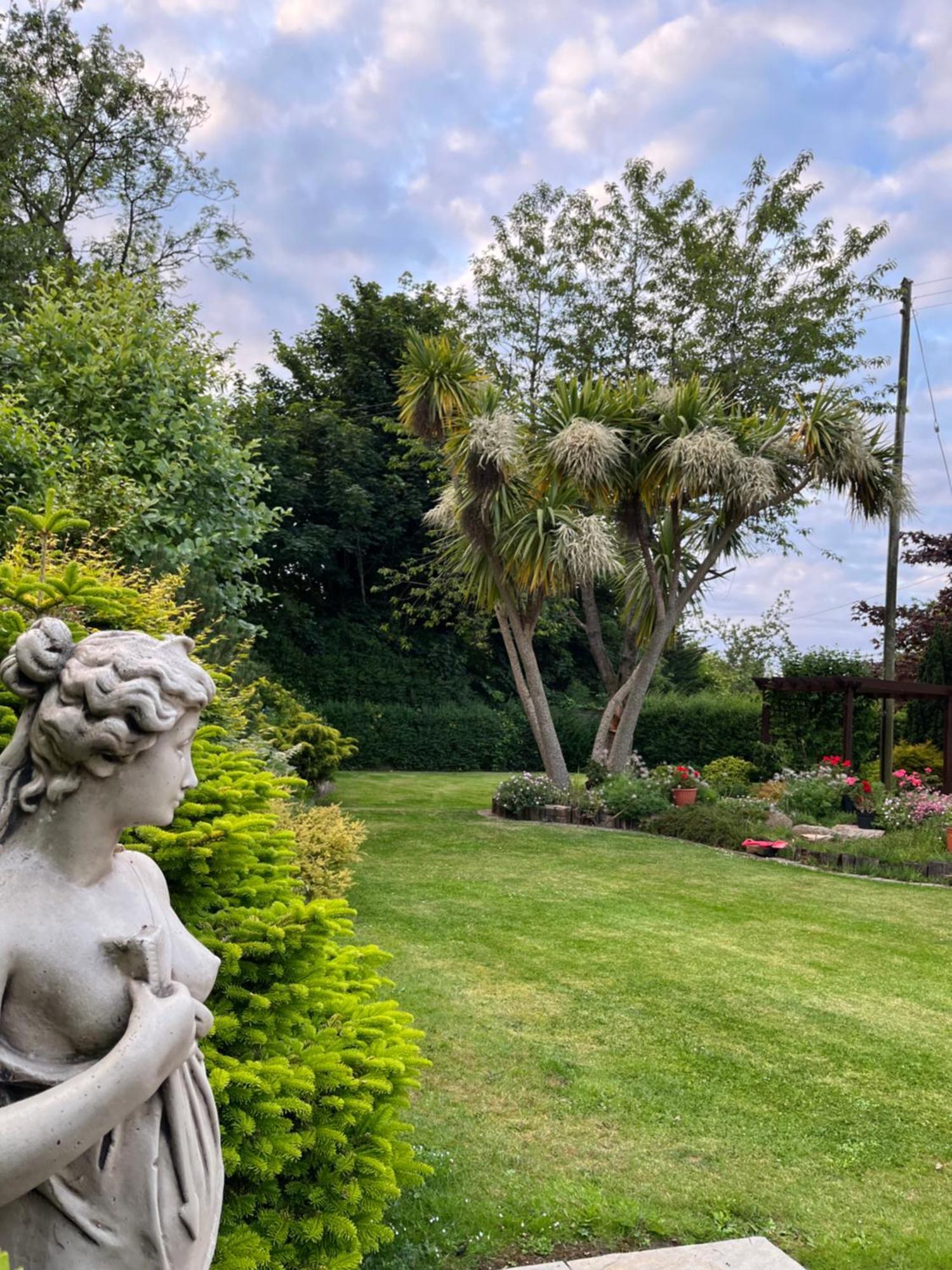Old Mill House Bed and Breakfast Larne Εξωτερικό φωτογραφία