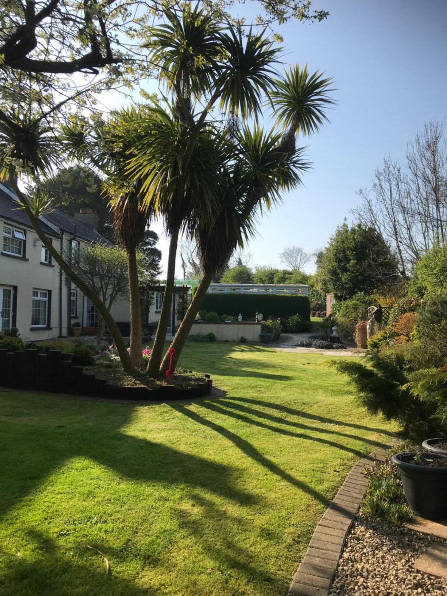 Old Mill House Bed and Breakfast Larne Εξωτερικό φωτογραφία