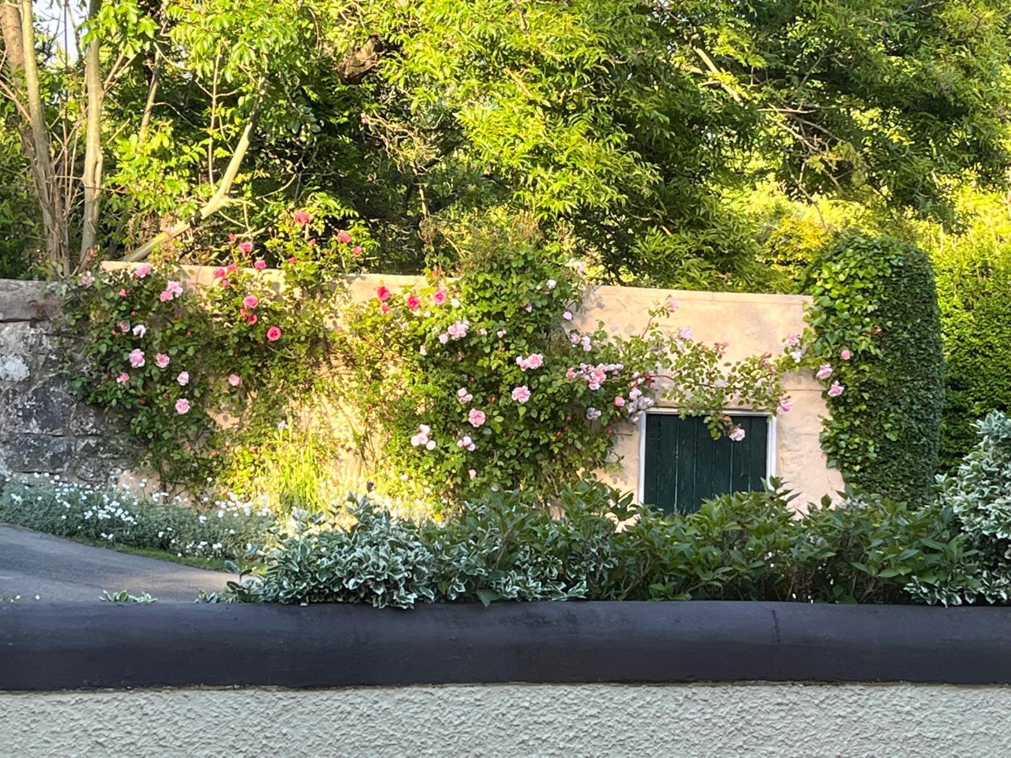 Old Mill House Bed and Breakfast Larne Εξωτερικό φωτογραφία