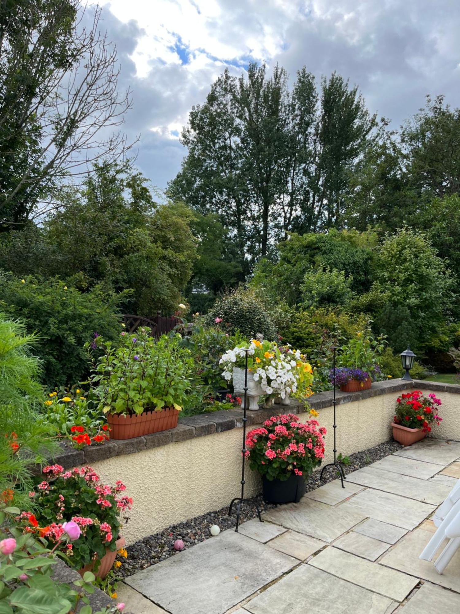 Old Mill House Bed and Breakfast Larne Εξωτερικό φωτογραφία