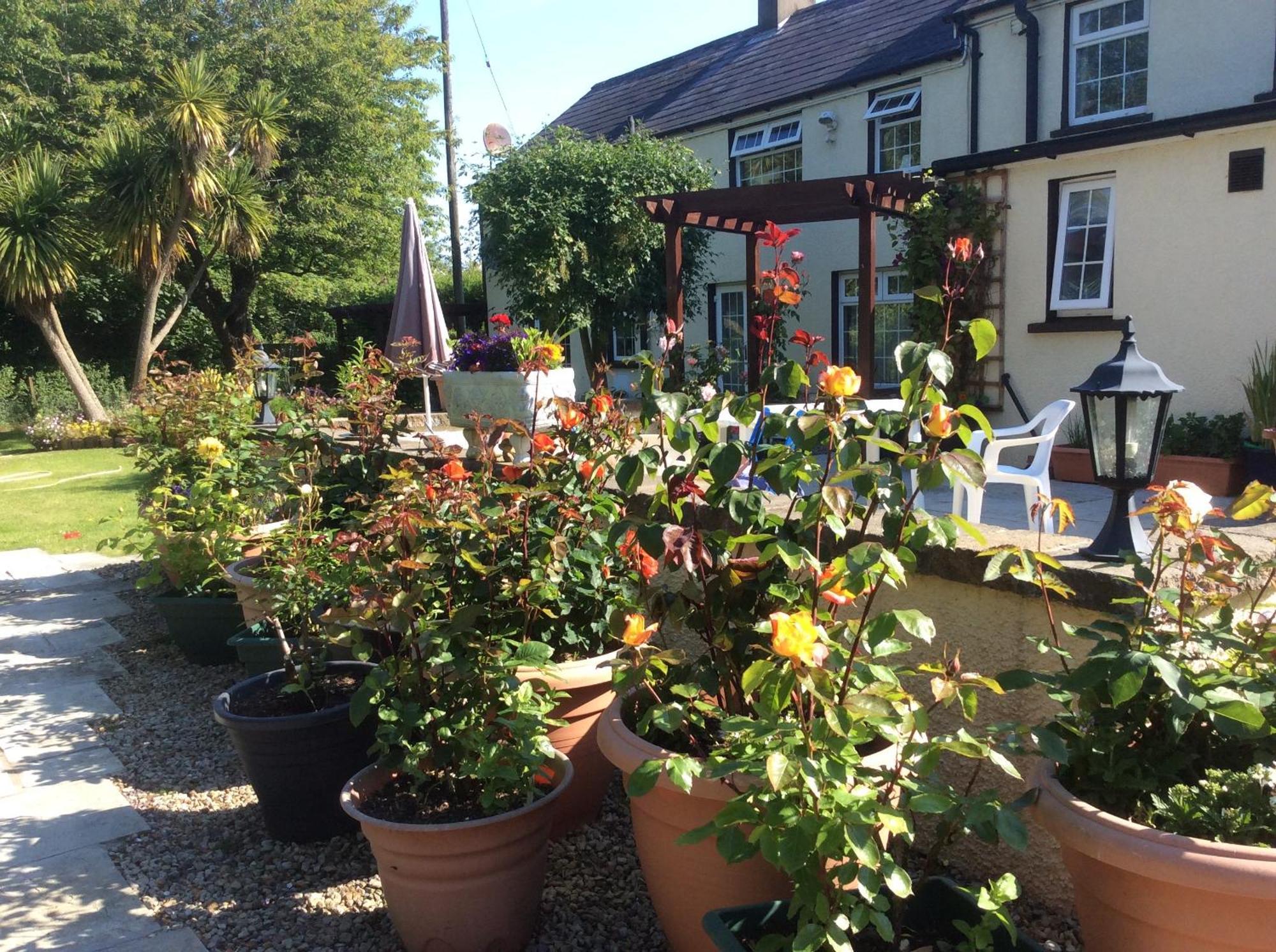 Old Mill House Bed and Breakfast Larne Εξωτερικό φωτογραφία